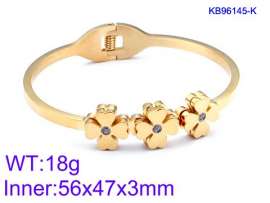 Stainless Steel Stone Bangle