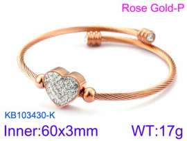 Stainless Steel Stone Bangle