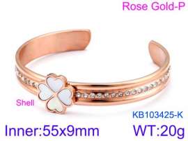 Stainless Steel Stone Bangle