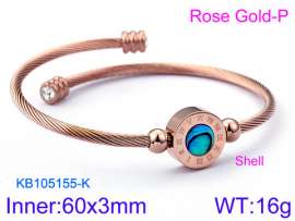 Stainless Steel Wire Bangle