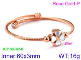 Stainless Steel Wire Bangle