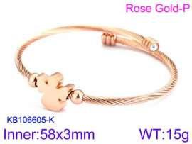 Stainless Steel Wire Bangle