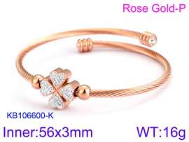 Stainless Steel Wire Bangle