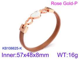 Stainless Steel Stone Bangle