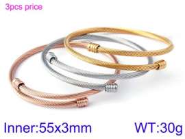 Stainless Steel Wire Bangle