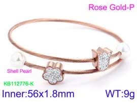 Stainless Steel Wire Bangle