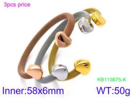 Stainless Steel Rose Gold-plating Bangle