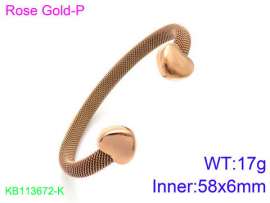 Stainless Steel Rose Gold-plating Bangle