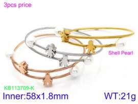 Stainless Steel Wire Bangle