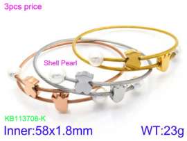 Stainless Steel Wire Bangle