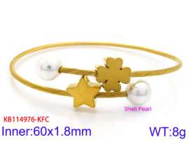 Stainless Steel Wire Bangle