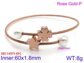 Stainless Steel Wire Bangle