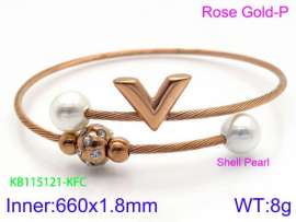 Stainless Steel Wire Bangle