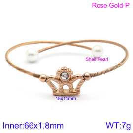 Stainless Steel Wire Bangle