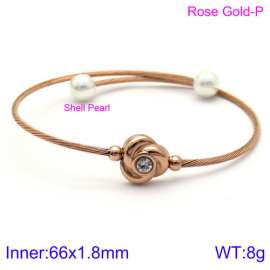 Stainless Steel Wire Bangle