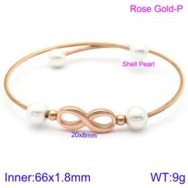 Stainless Steel Wire Bangle