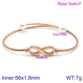 Stainless Steel Wire Bangle
