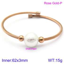 Stainless Steel Wire Bangle