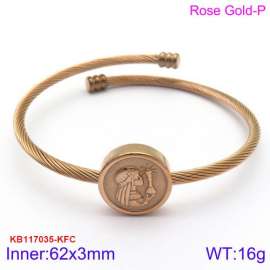 Stainless Steel Wire Bangle