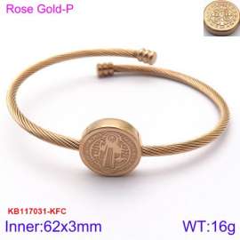 Stainless Steel Wire Bangle