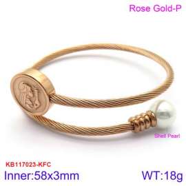 Stainless Steel Wire Bangle