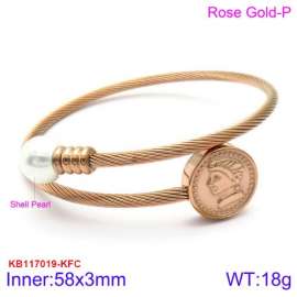 Stainless Steel Wire Bangle