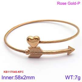 Stainless Steel Wire Bangle