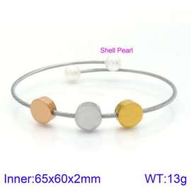 Stainless Steel Wire Bangle