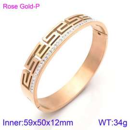 Stainless Steel Stone Bangle