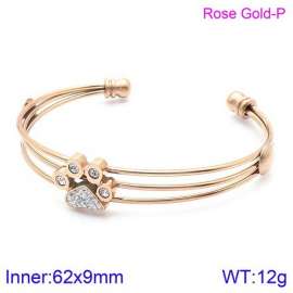 Stainless Steel Stone Bangle