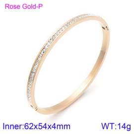 Stainless Steel Stone Bangle