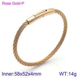 Stainless Steel Wire Bangle
