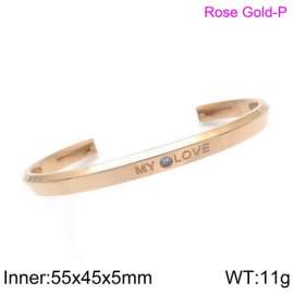 Stainless Steel Stone Bangle